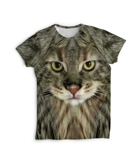 gato-gris-atigrado-ojos-verde-664e31aa77527499e917118156428052-480-0 (1) Remera michi atigrado