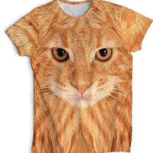Remera michi naranja