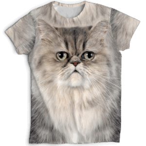 Remera michi persa